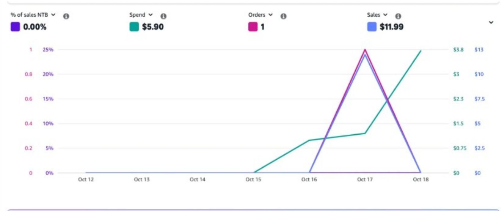 Baseline Amazon PPC performance at onboarding: 0% New-to-Brand sales and just 1 ad-attributed order.